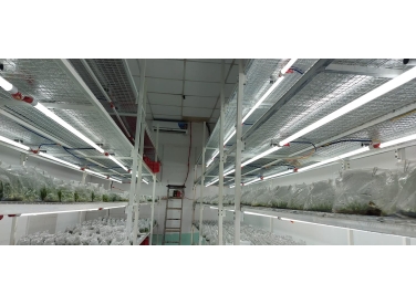 Lắp đặt máy lạnh cho Nhà kho Bình Chánh